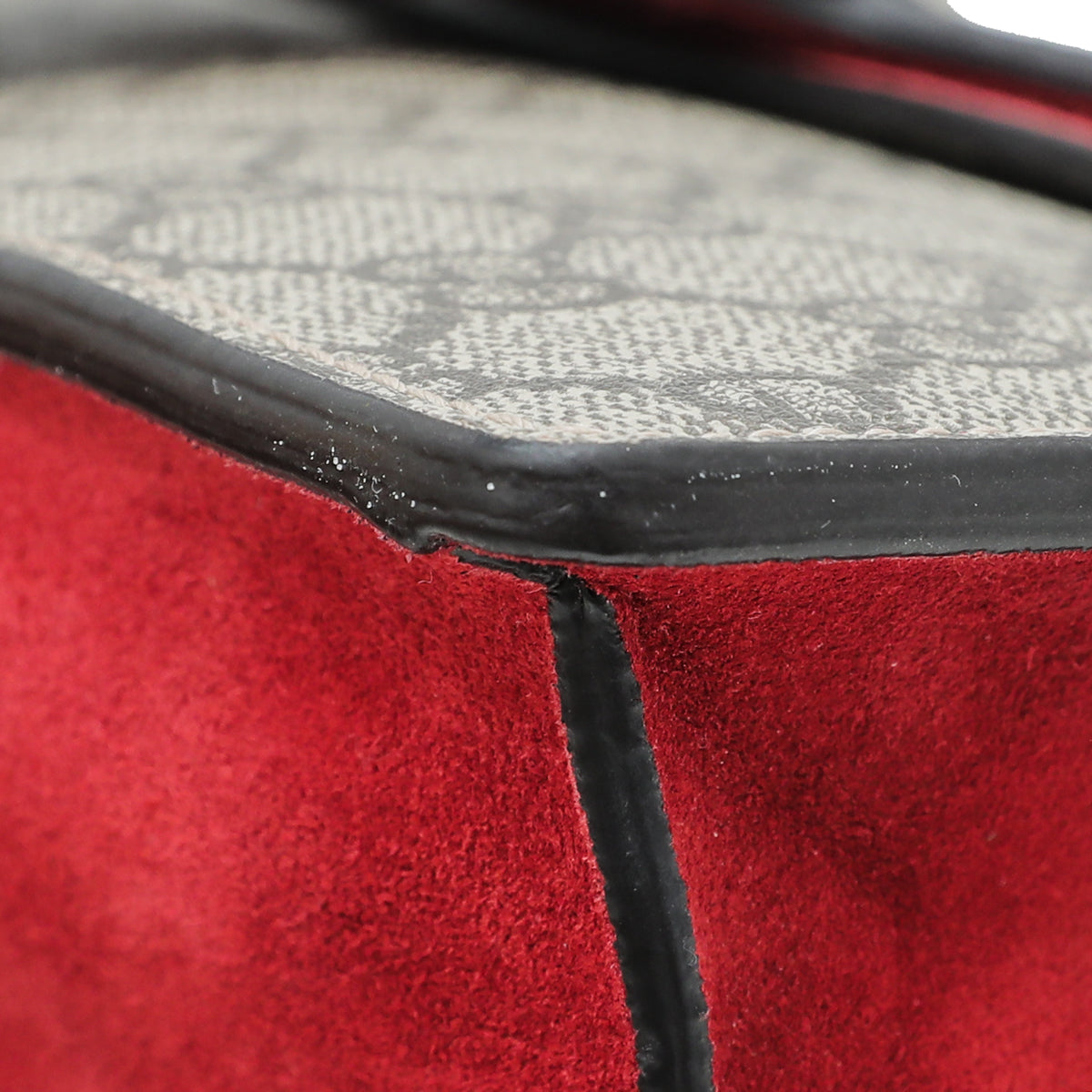 Gucci Bicolor Dionysus Small Bag-Gucci-THE CLOSET