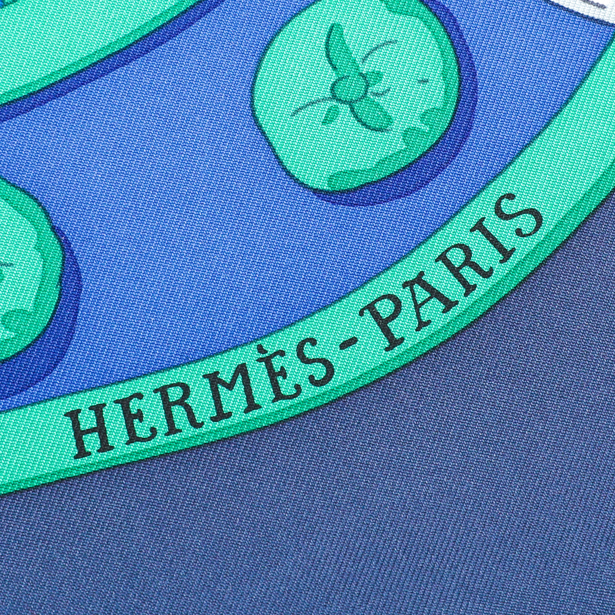 Hermes Blue Multicolor Ronds De Marche By Hubert Scarf