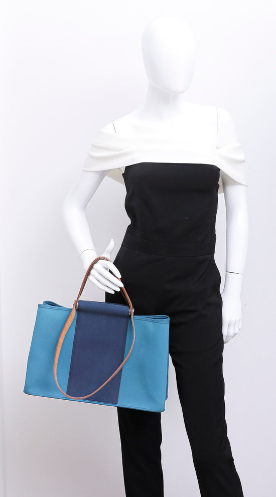 Hermes Bicolor Cabag Elan Tote Bag