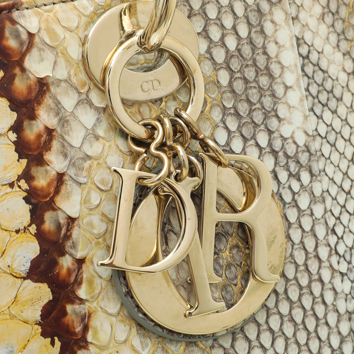 Christian Dior Bicolor Python Lady Dior Large Bag – THE CLOSET