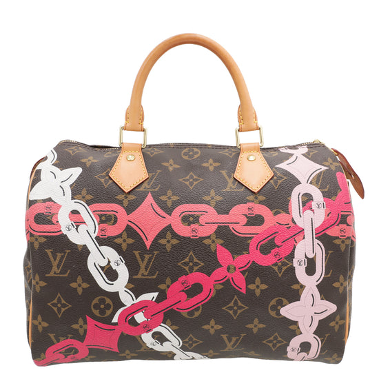Louis Vuitton Brown Multicolor Chain Flower Speedy Bag