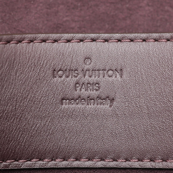 Louis Vuitton Quetsche Chain Louise Matte Bag – The Closet