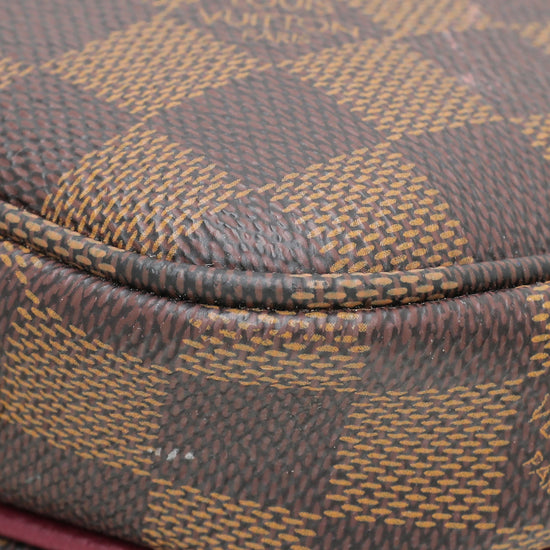 Louis Vuitton Bicolor Clapton Bag