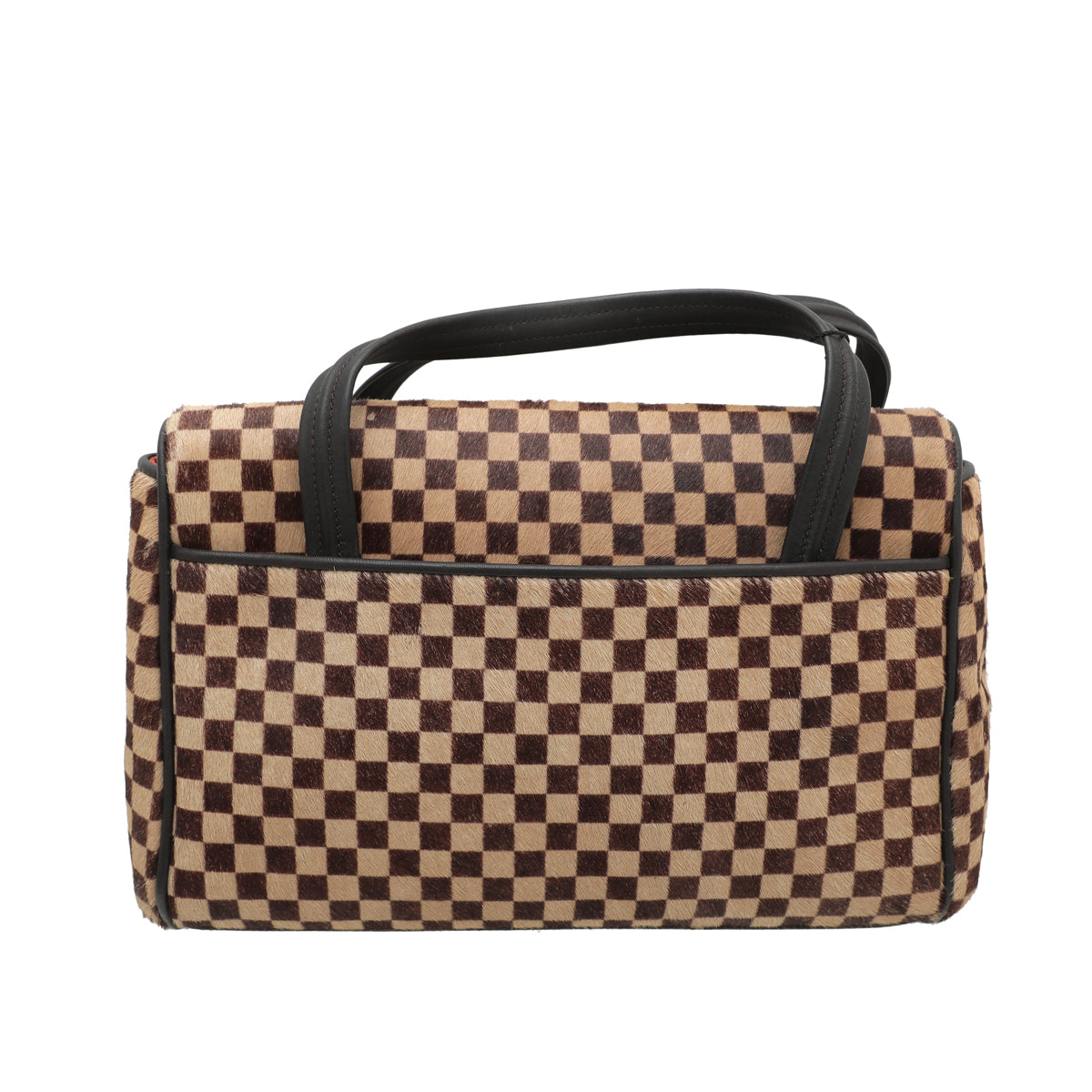 Louis Vuitton Damier Ebene Calf Hair Sauvage Lionne Bag-Louis Vuitton-THE CLOSET