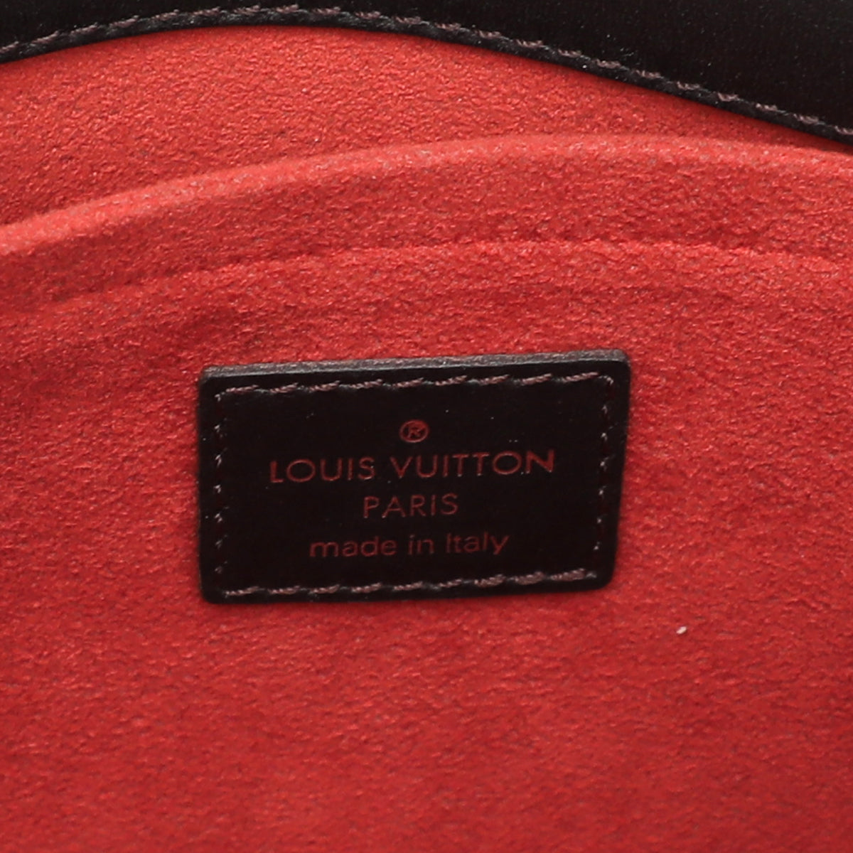 Louis Vuitton Damier Ebene Calf Hair Sauvage Lionne Bag