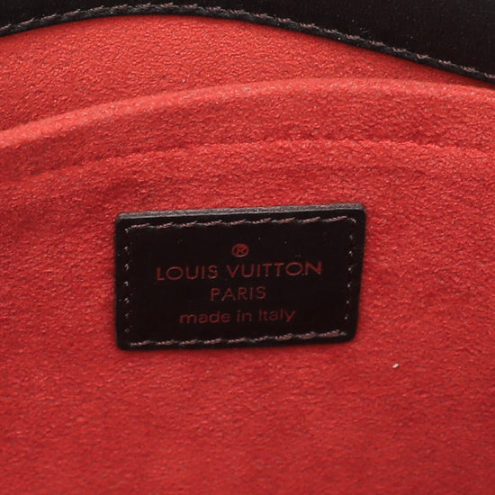 Authentic Louis Vuitton Lionne Damier Sauvage Calf Hair 