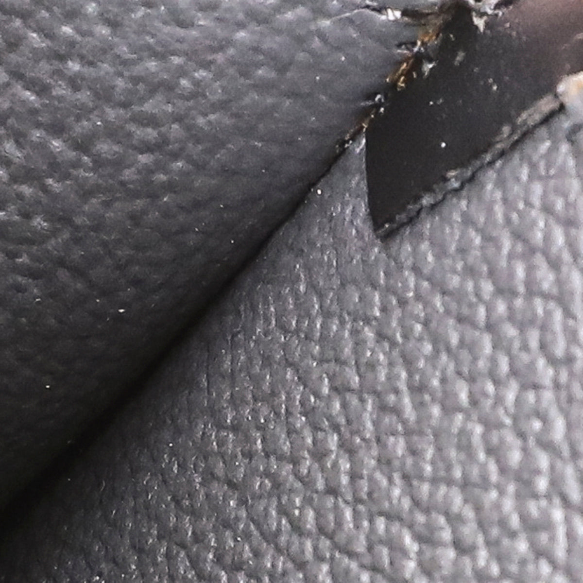 Louis Vuitton Noir Riviera Bag-Louis Vuitton-THE CLOSET