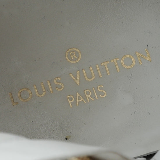 Louis Vuitton Stellar Mesh Sneakers