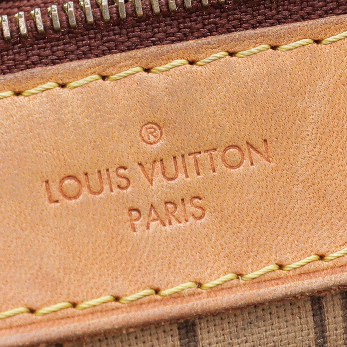 Louis Vuitton Monogram Delightful Bag-Louis Vuitton-THE CLOSET
