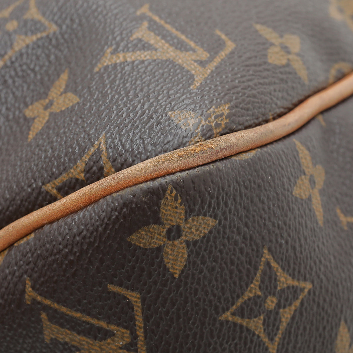 Louis Vuitton Monogram Delightful Bag-Louis Vuitton-THE CLOSET