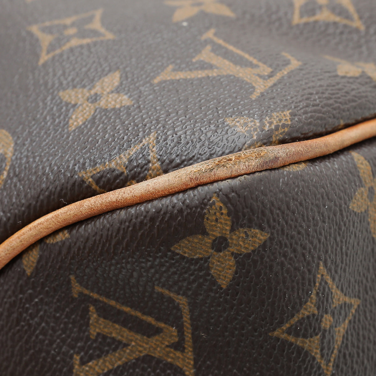 Louis Vuitton Monogram Delightful Bag-Louis Vuitton-THE CLOSET