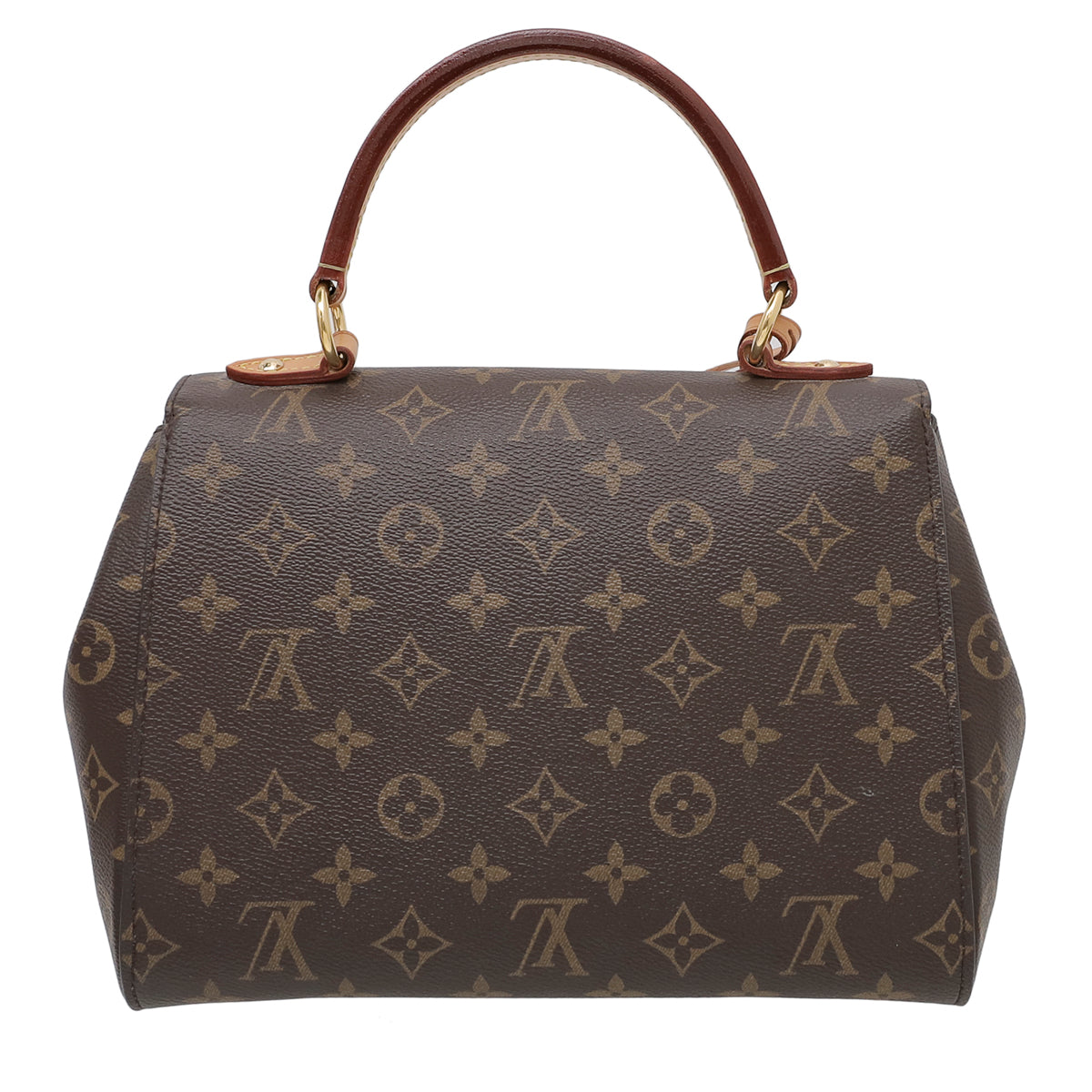Louis Vuitton Tricolor Monogram Cluny Bag