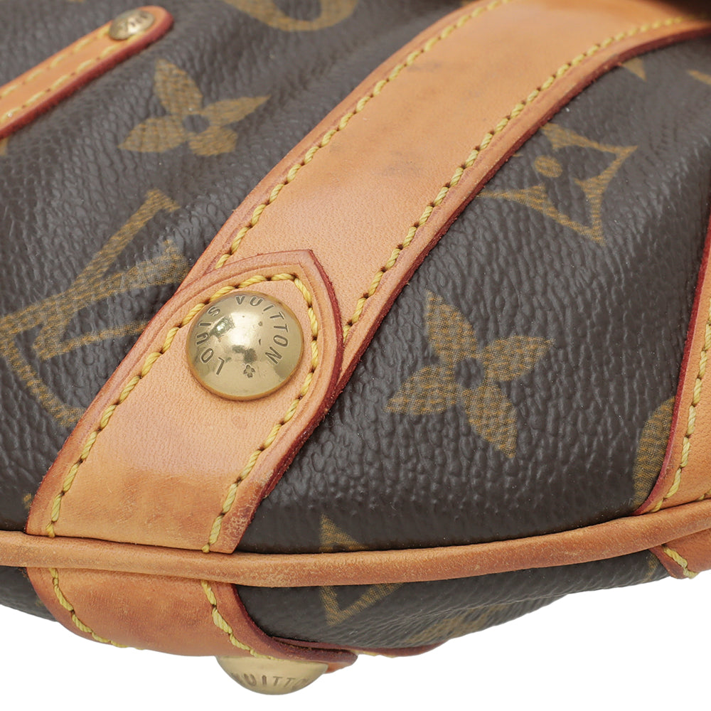 Louis Vuitton Monogram Leonor Hobo Bag-Louis Vuitton-THE CLOSET
