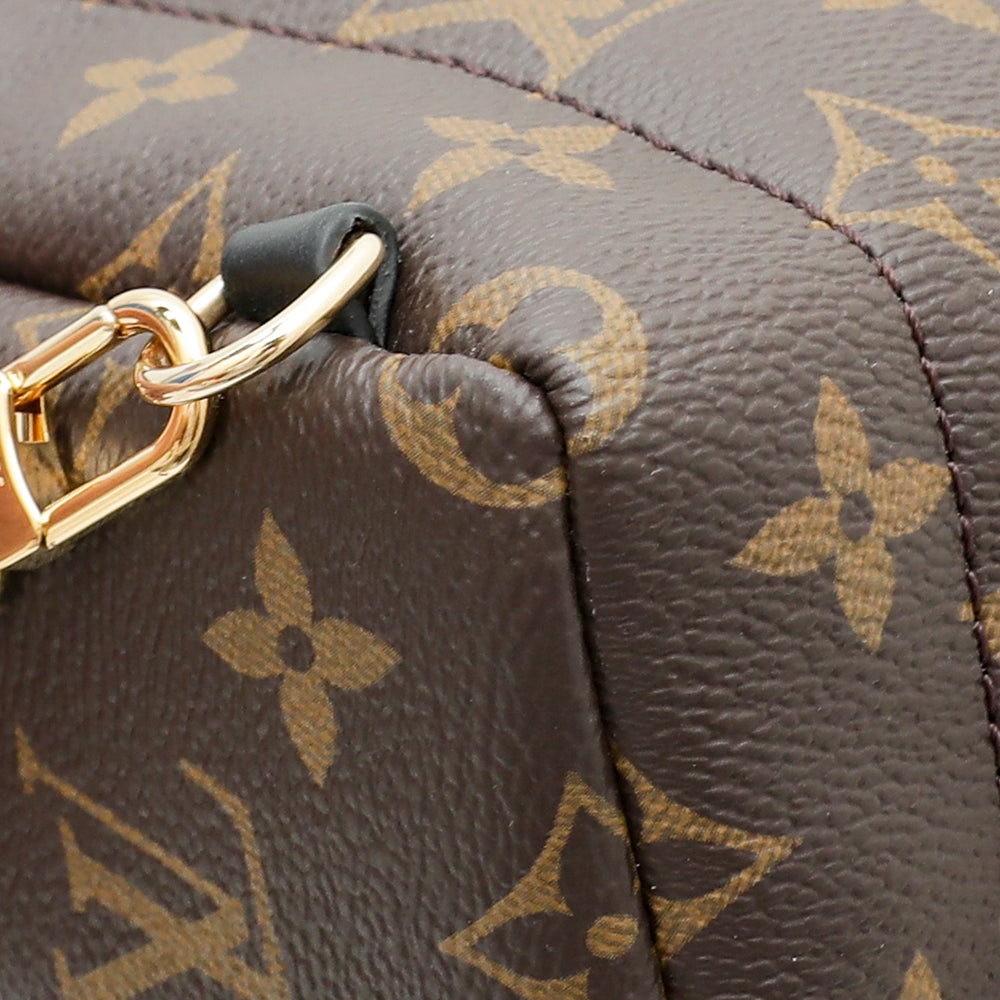 Louis Vuitton Monogram Mini Palm Spring Bag