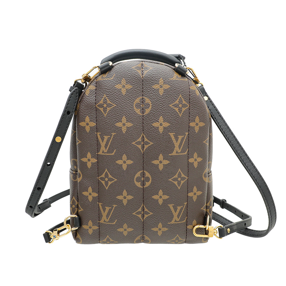 Louis Vuitton Monogram Mini Palm Spring Bag – The Closet