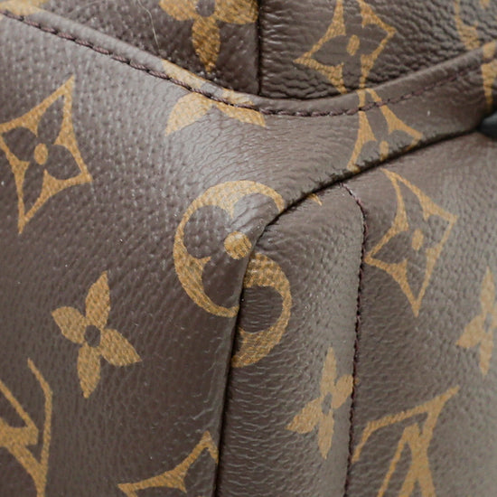 Louis Vuitton Monogram Mini Palm Spring Bag