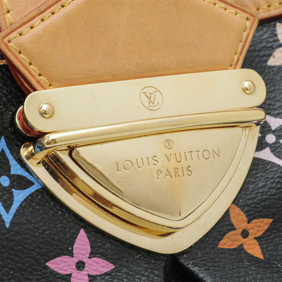 Louis Vuitton, Bags, Louis Vuitton Multicolor Joey Wallet
