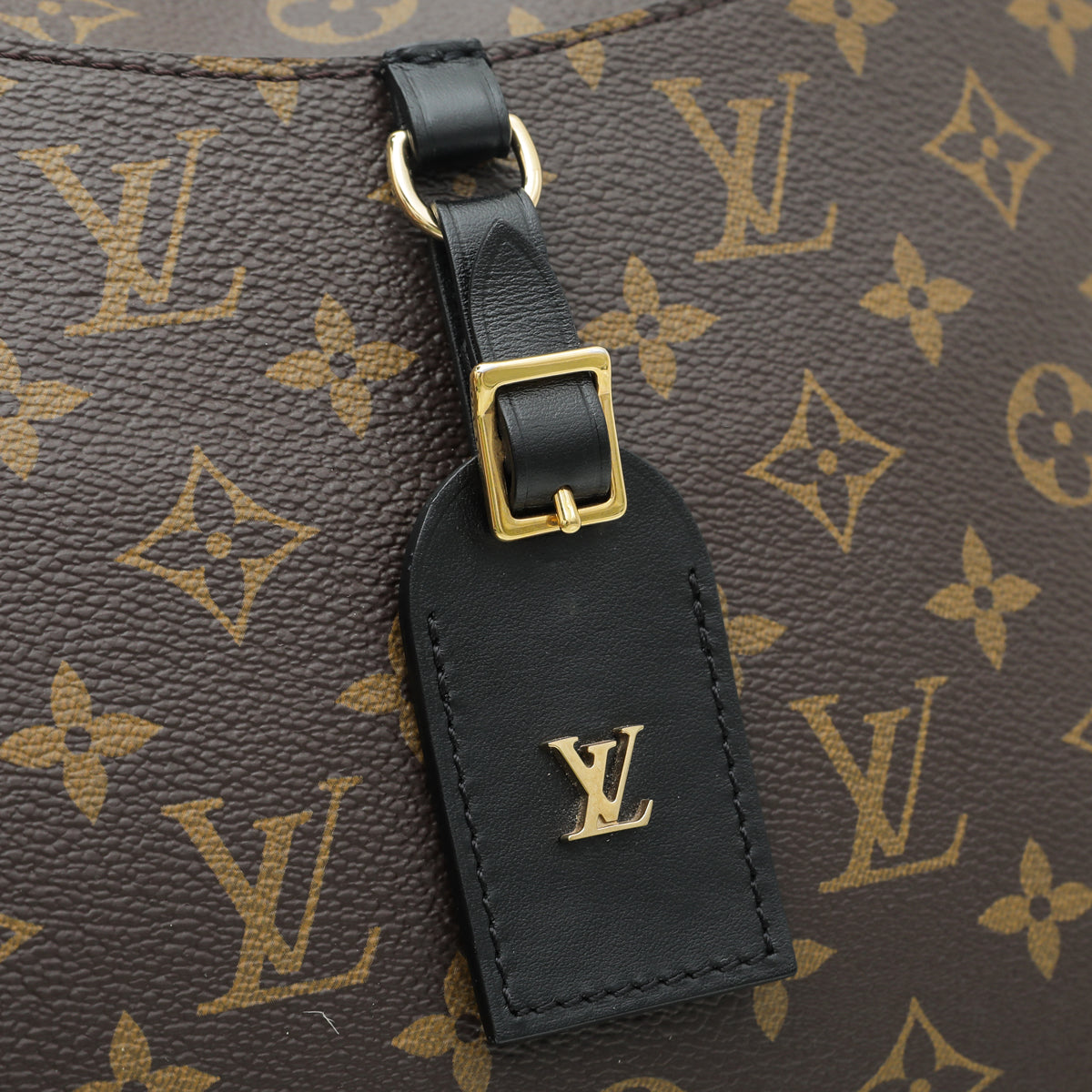 Louis Vuitton Bicolor Monogram Odeon Bag-Louis Vuitton-THE CLOSET