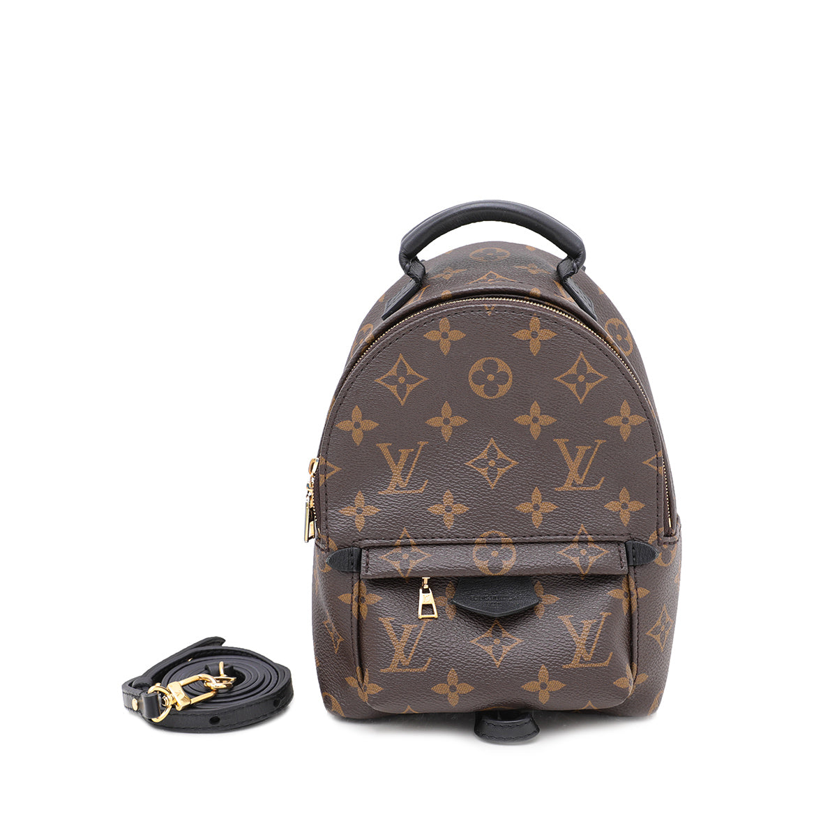 Louis Vuitton Monogram Palm Springs Mini Backpack Bag
