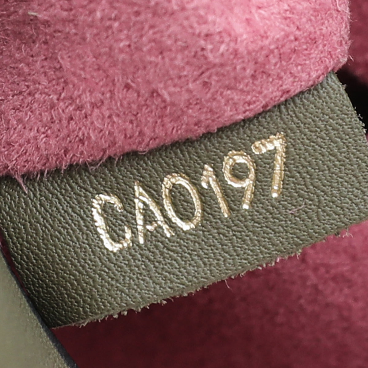 Louis Vuitton Brown Monogram Tuileries Besace Leather Cloth Pony-style  calfskin ref.905374 - Joli Closet