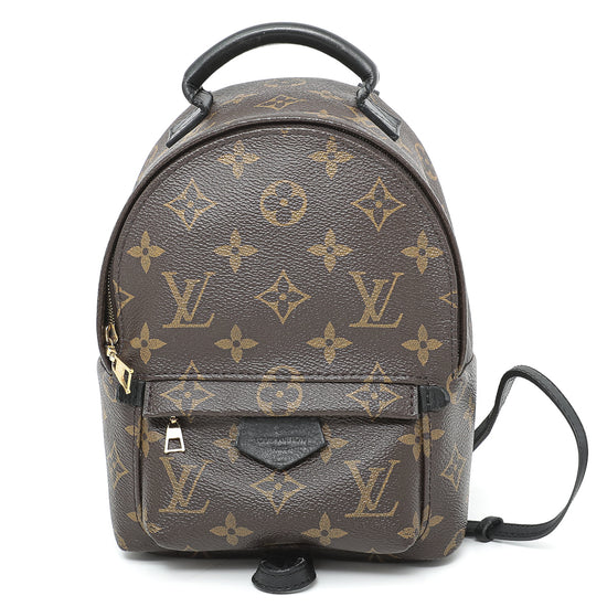 Louis Vuitton Brown Palm Springs Backpack Mini