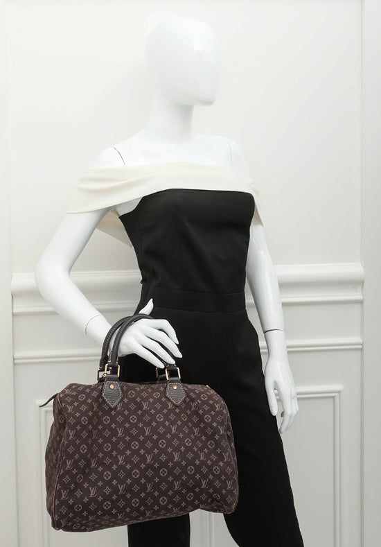 Louis Vuitton Brown Speedy Mini Lin Bag