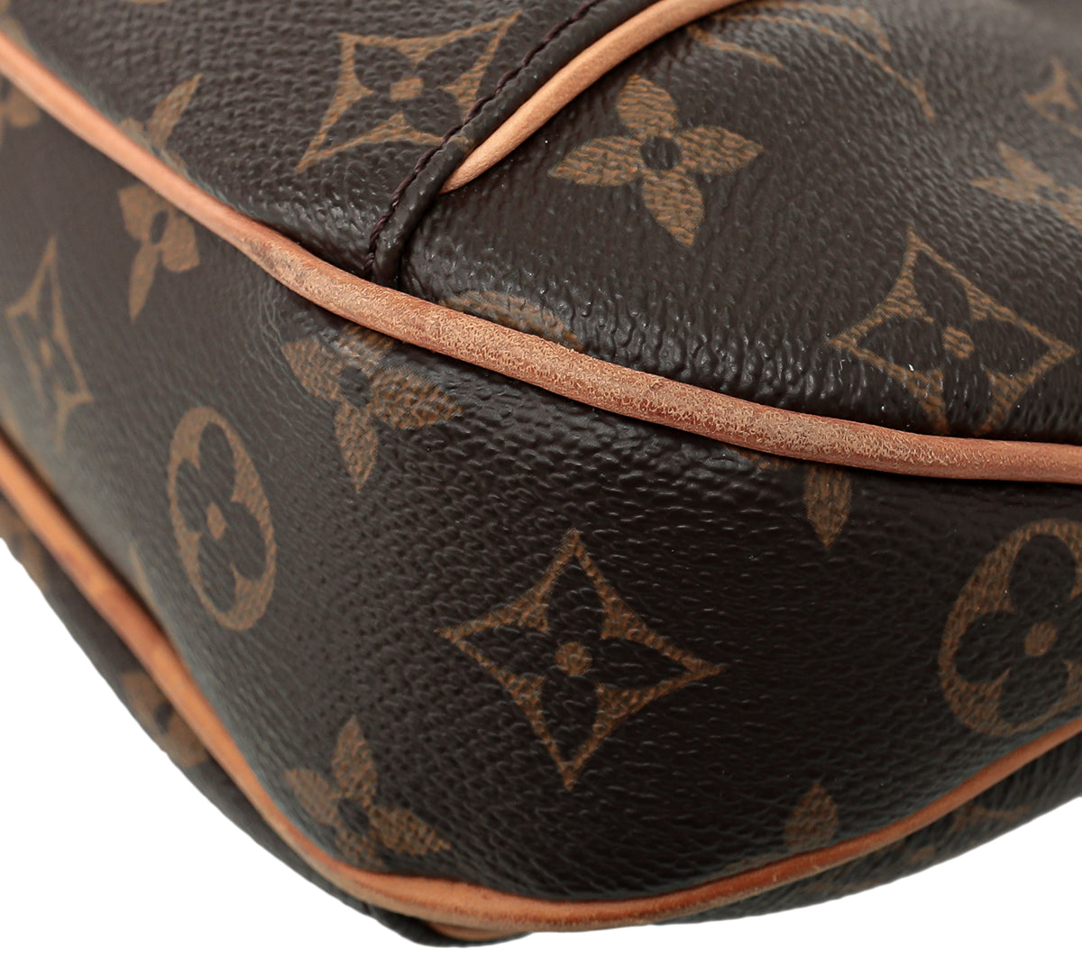 Louis Vuitton Brown Monogram Thames Hobo Bag