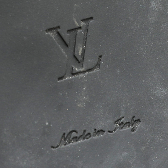 Louis Vuitton LV Wonderland Small Cowhide Martin Boots