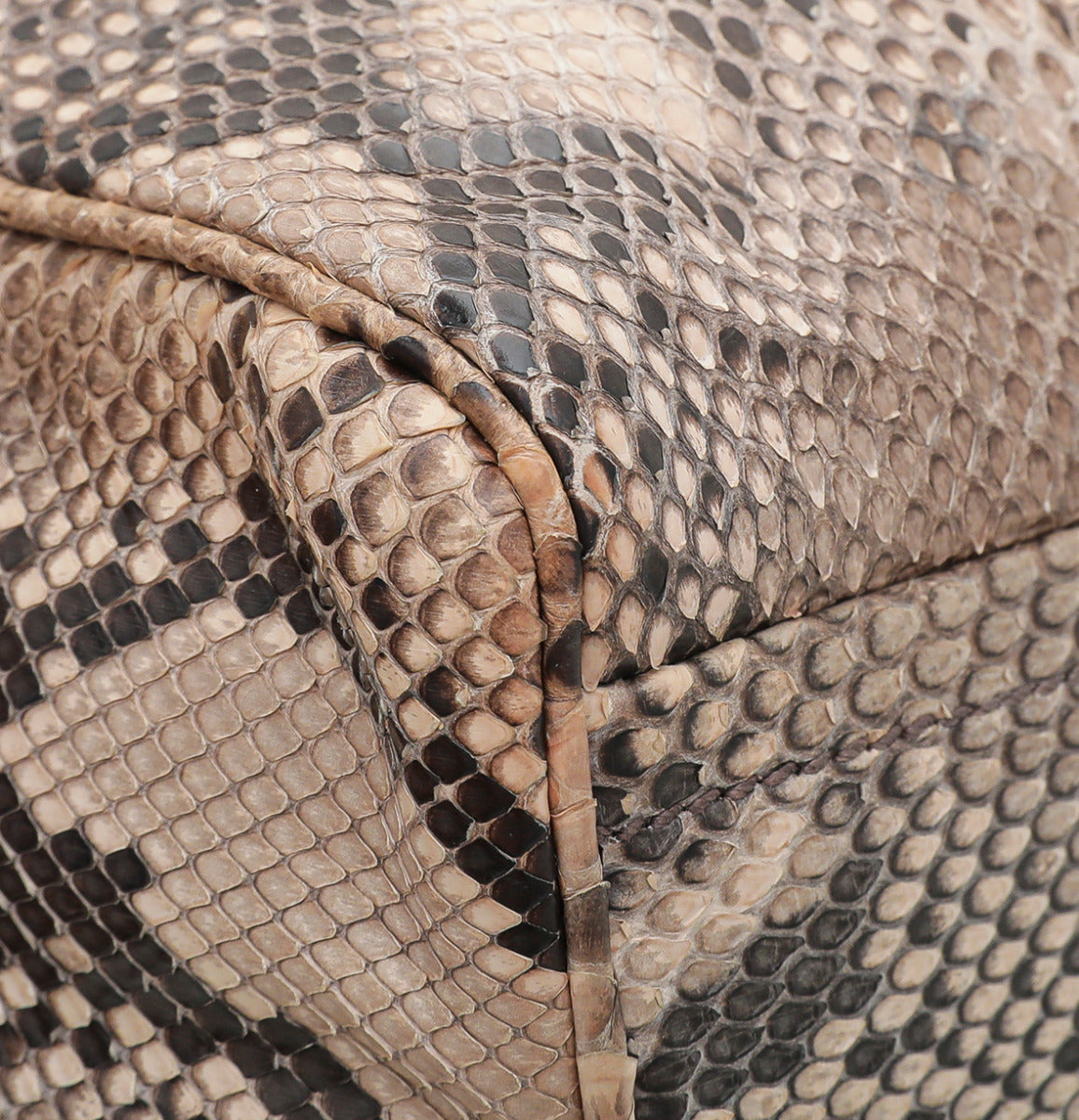 Prada Bicolor Pesca-Tamari Python Iniside Bag