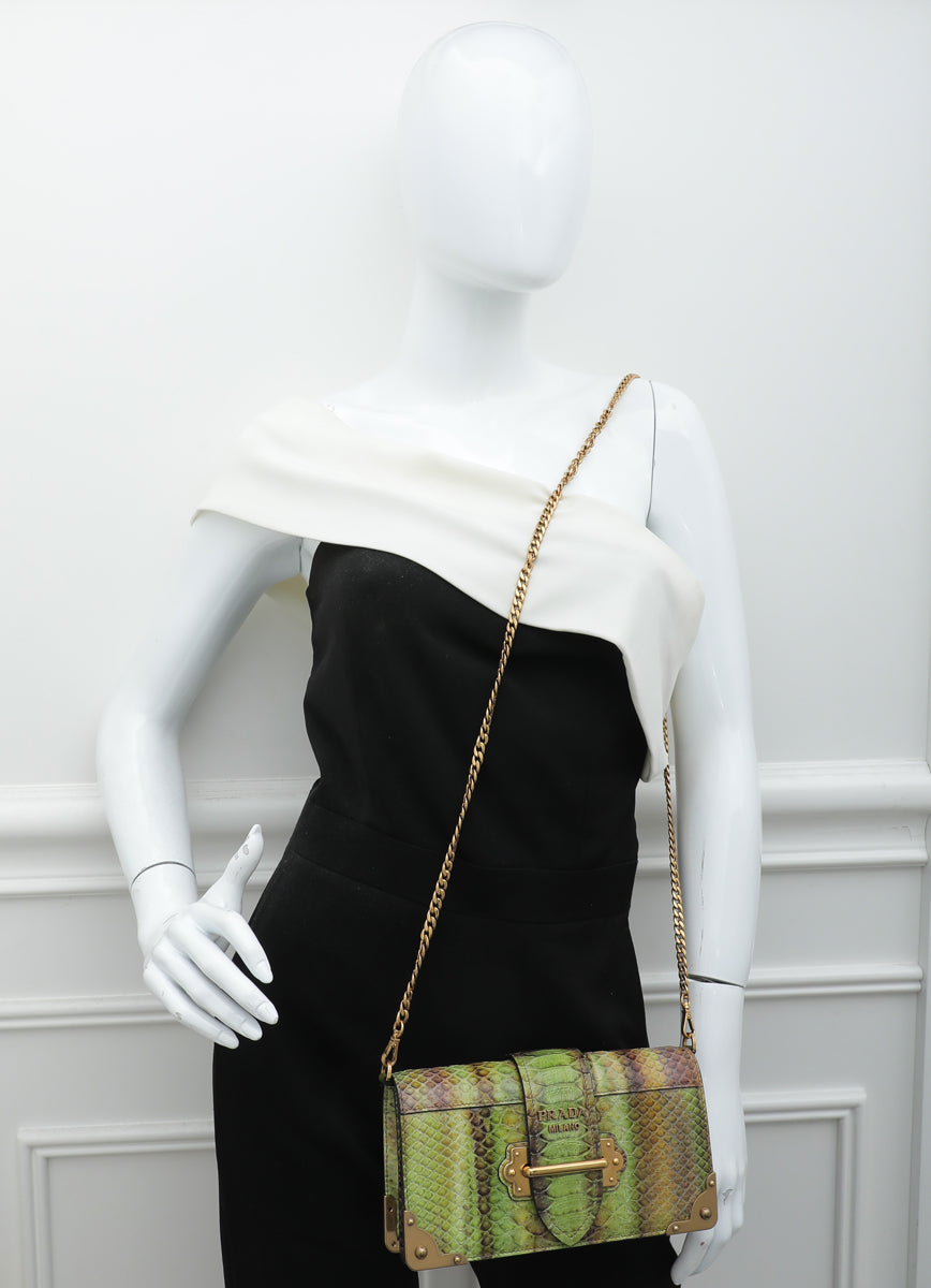 Prada Bicolor Python Cahier Chain Clutch Bag-Prada-THE CLOSET