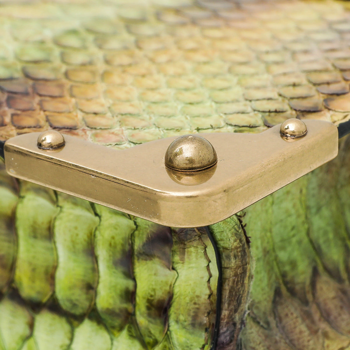 Prada Bicolor Python Cahier Chain Clutch Bag-Prada-THE CLOSET