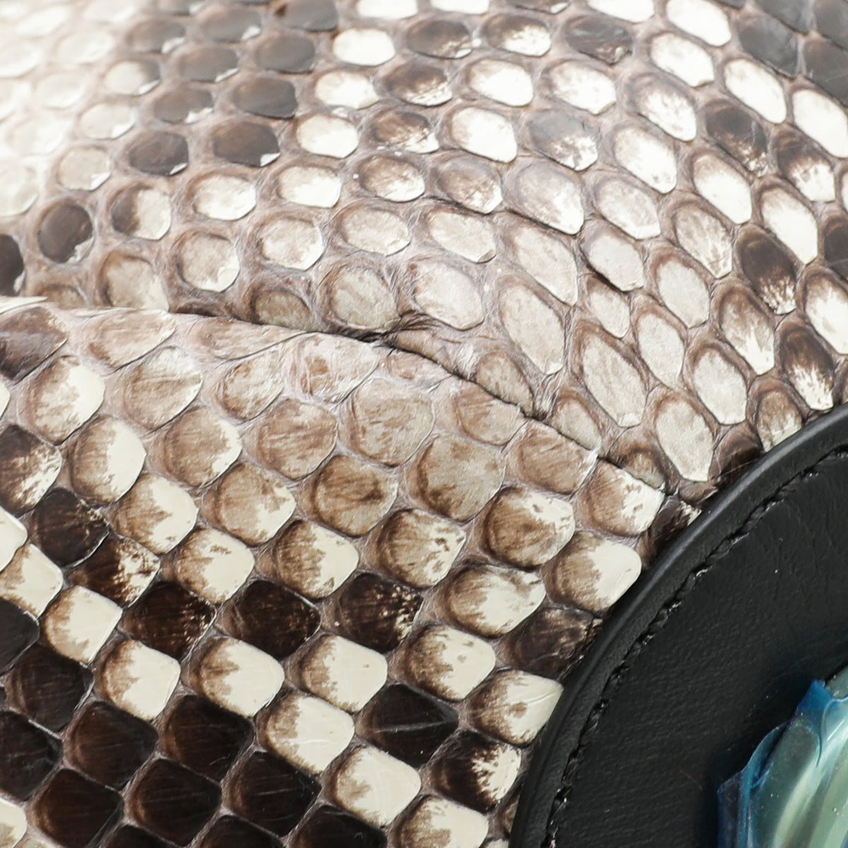 Valentino Bicolor Python Go Logo Bucket Bag-Valentino-THE CLOSET