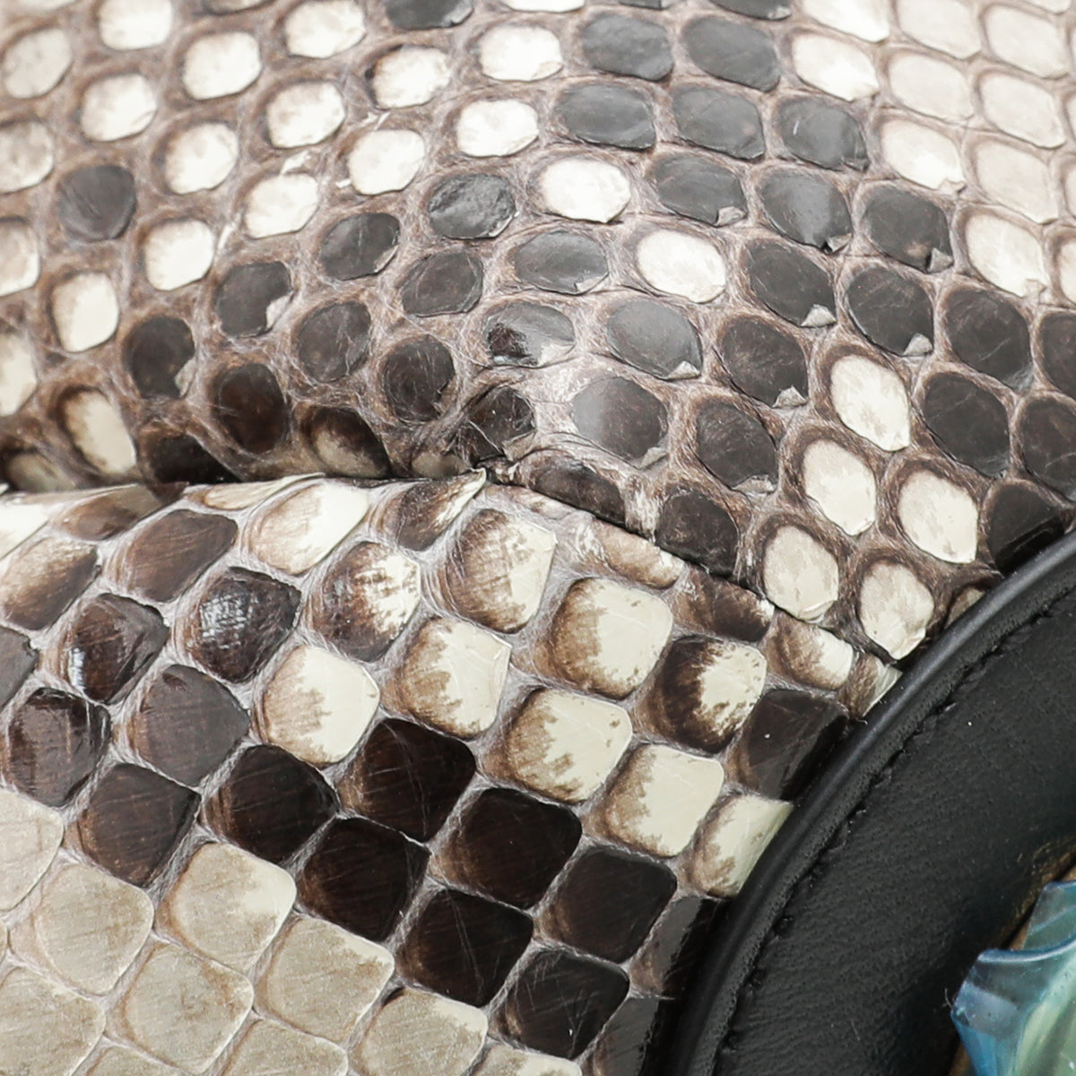 Valentino Bicolor Python Go Logo Bucket Bag-Valentino-THE CLOSET